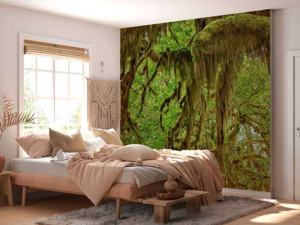 Moss on tree branches