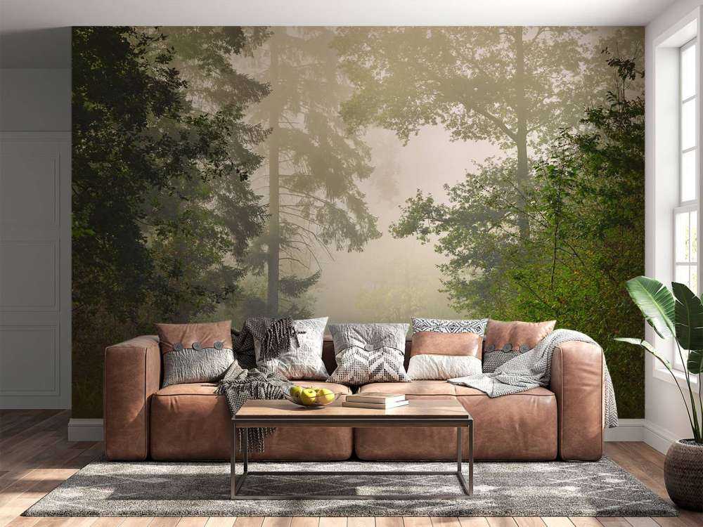 Road through foggy forest