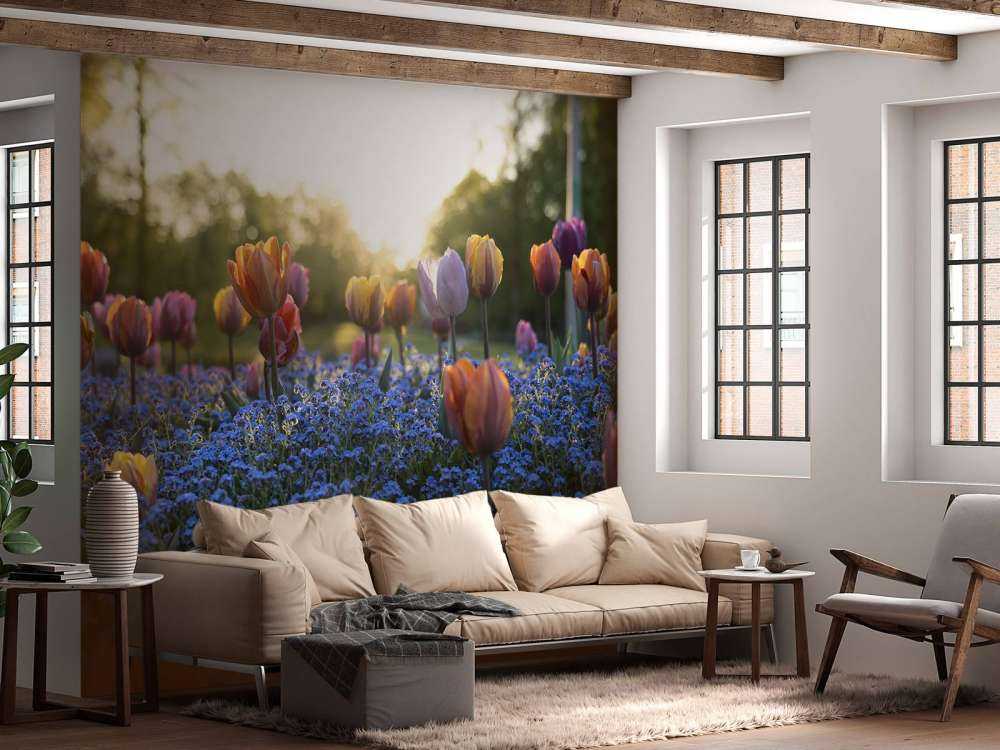 Cheerful tulip field