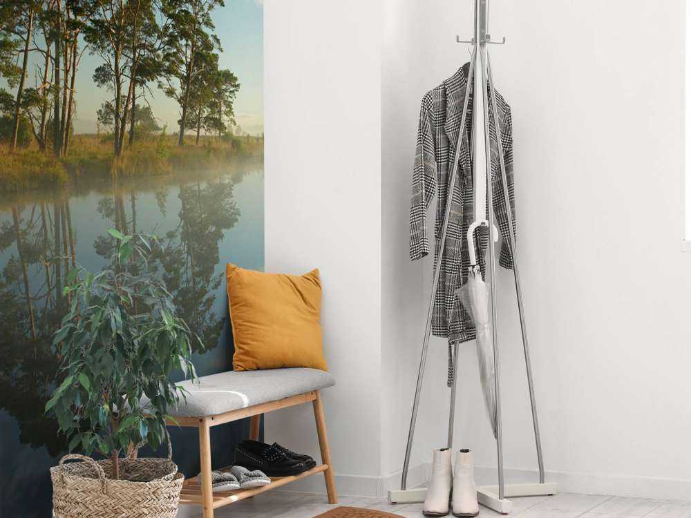 Reflection in moorland