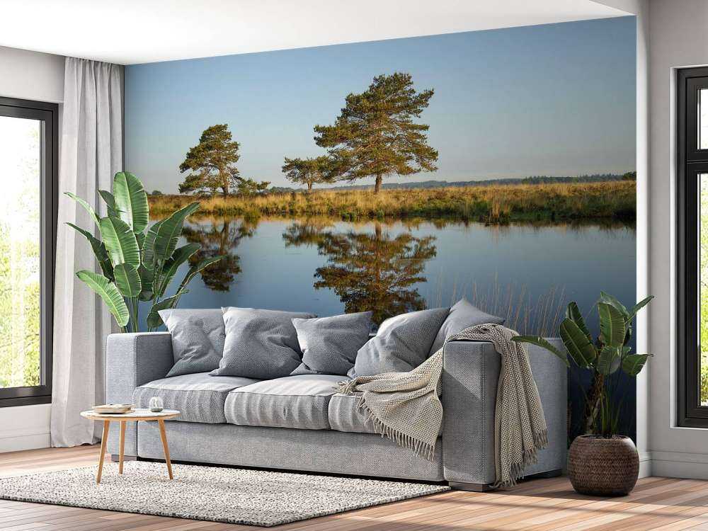 Woodland in heathland