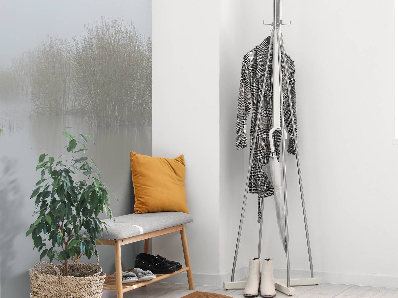 Fog in nature reserve