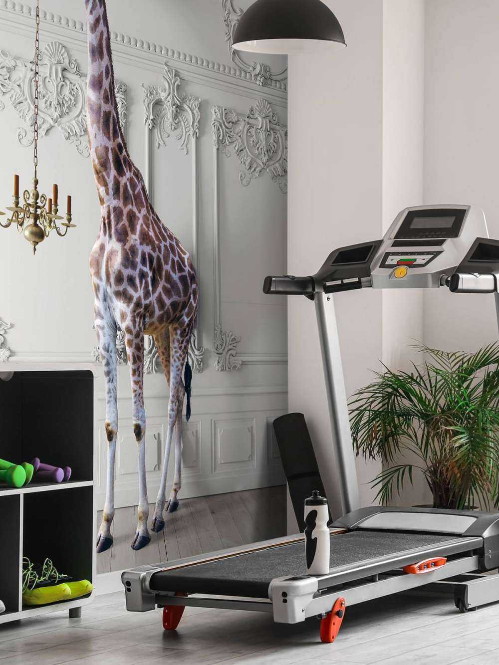 Giraffe with candlestick