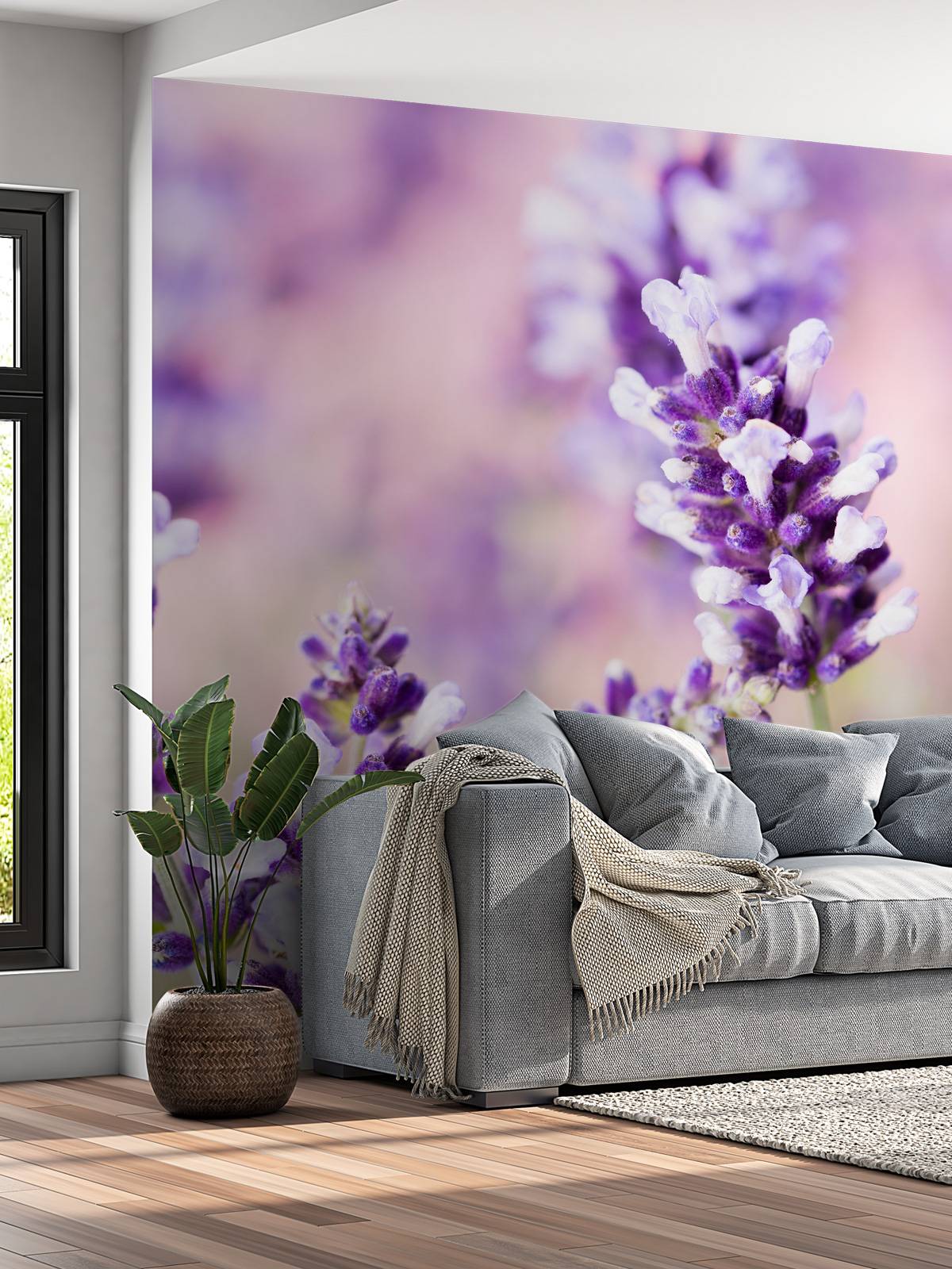 Lavender flower