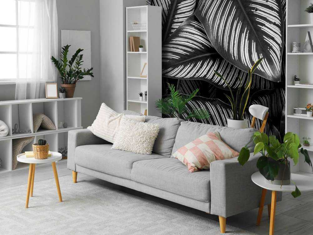 Black and white palm leaves