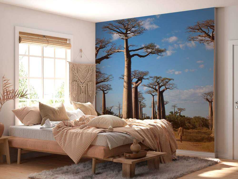 Baobab trees