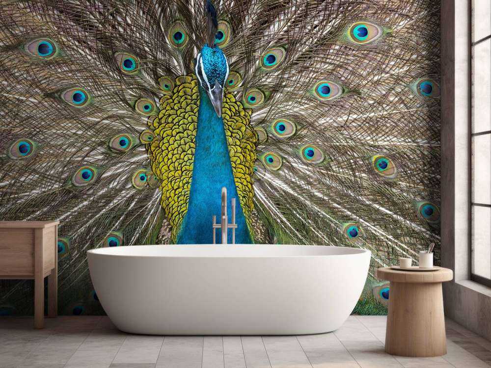 Peacock with stuffed feathers