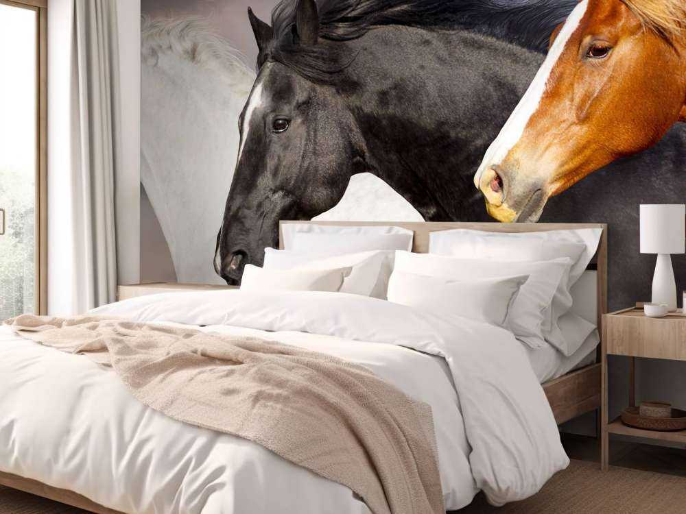 Herd of horses