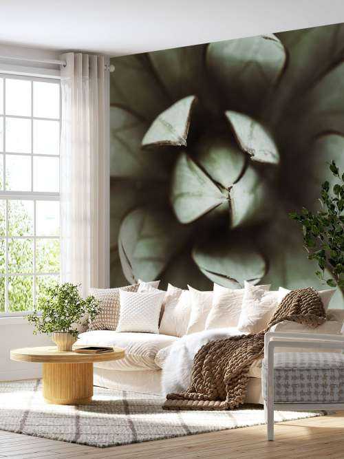 Fat plant