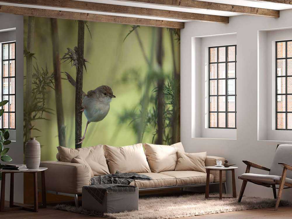 Bird on a branch