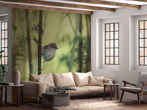 Bird on a branch