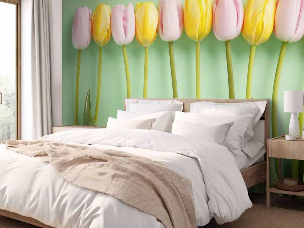 Tulips on mint green background