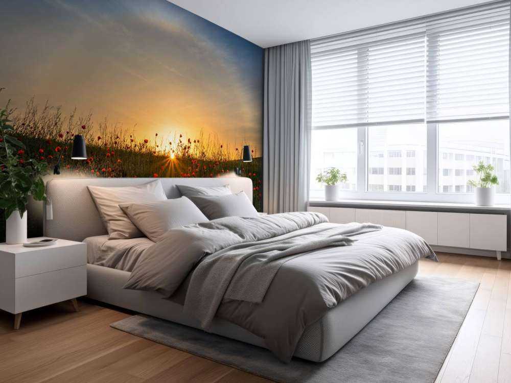 Red poppies and sunrise