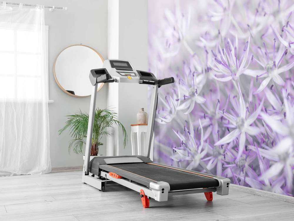 Allium flowers close-up