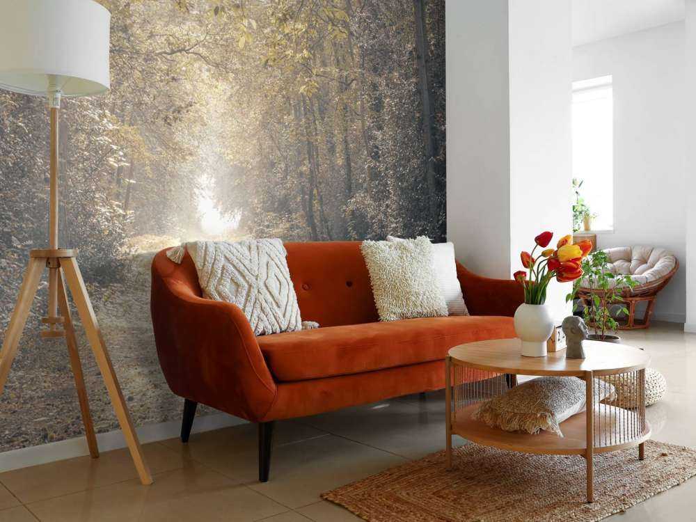 Path through a deserted forest