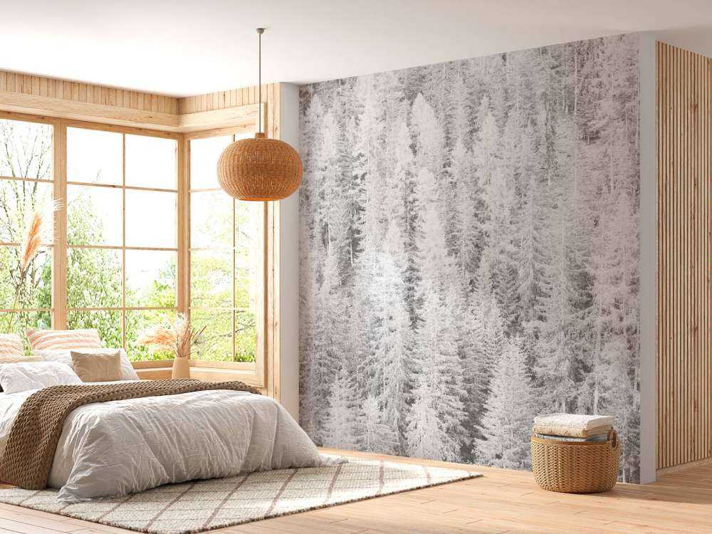 Conifers in black and white