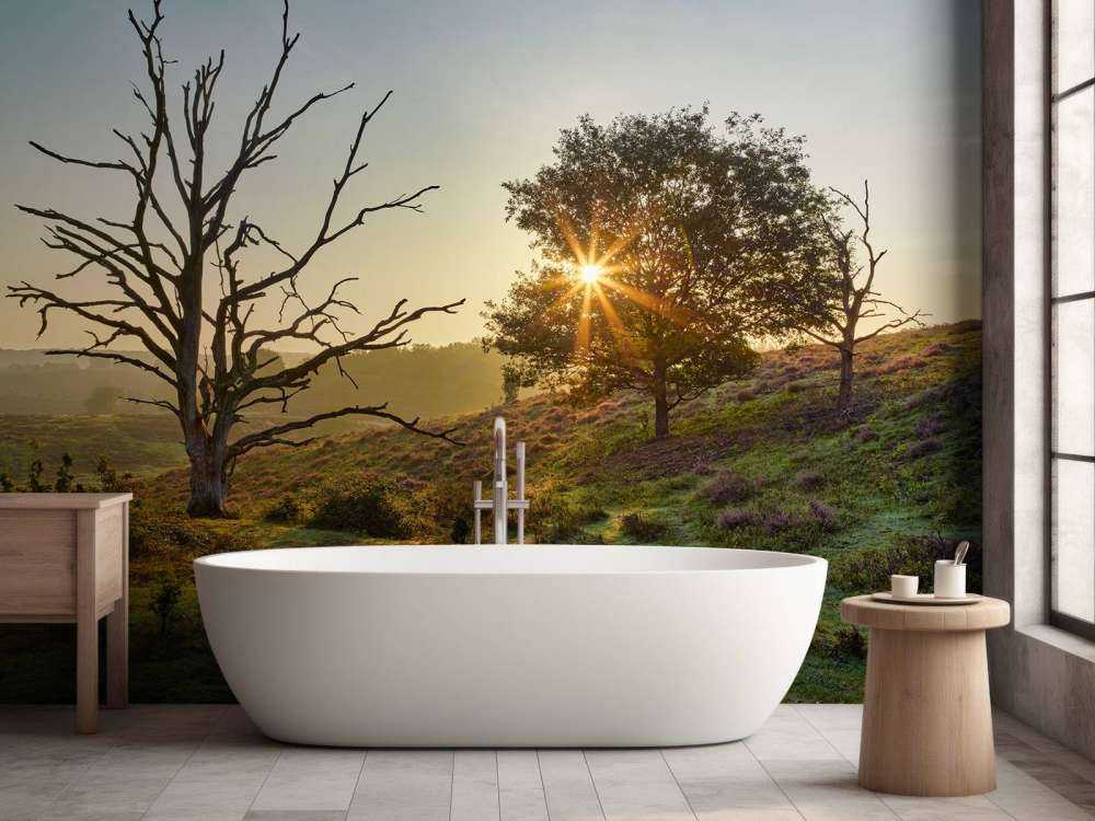 Rising sun on the heath