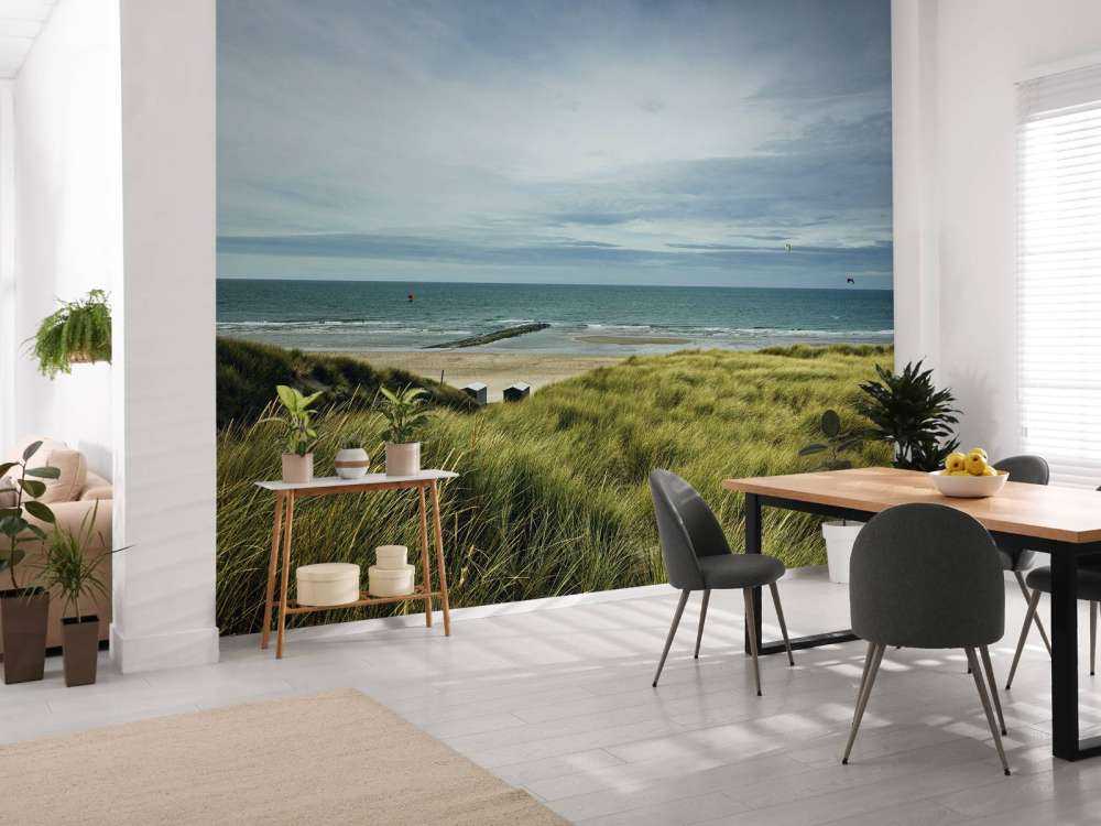 Beach from the dunes