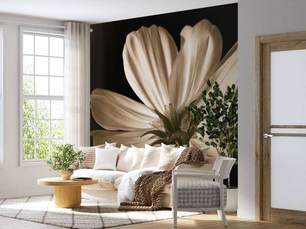 Cosmos flower from below