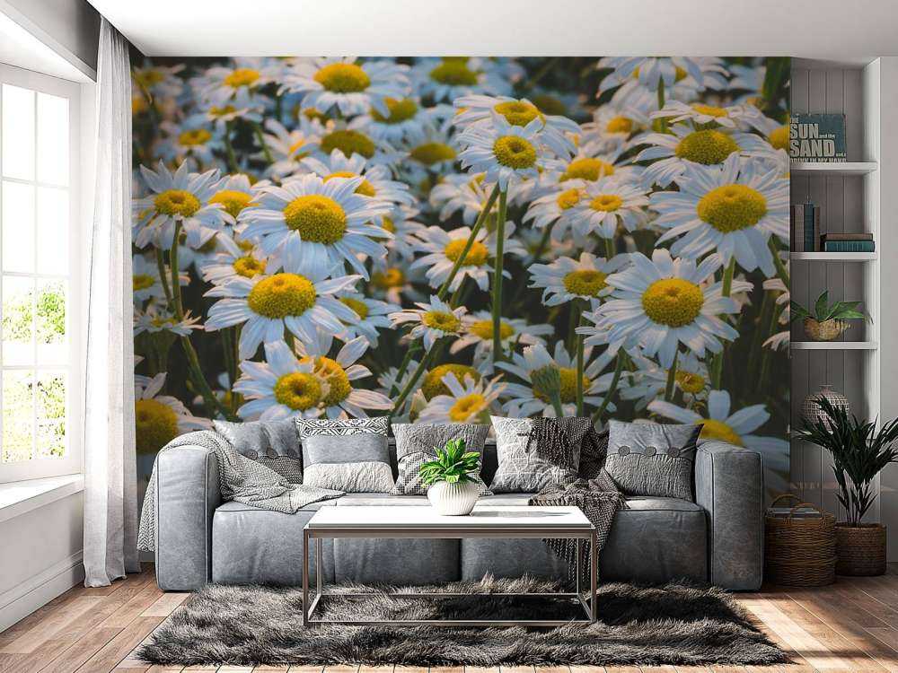 Vintage Daisies