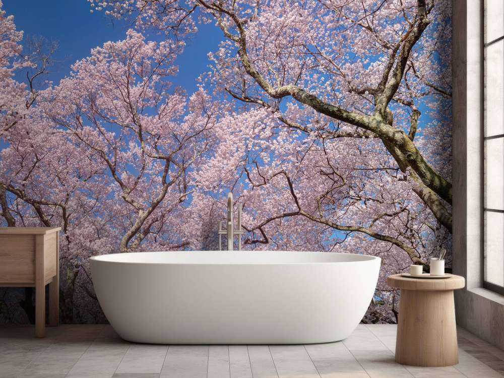 Blossoms with blue sky