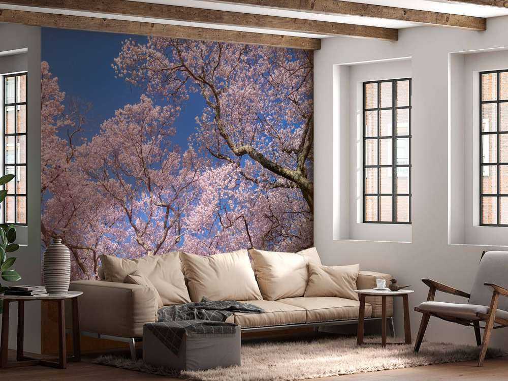 Blossoms with blue sky