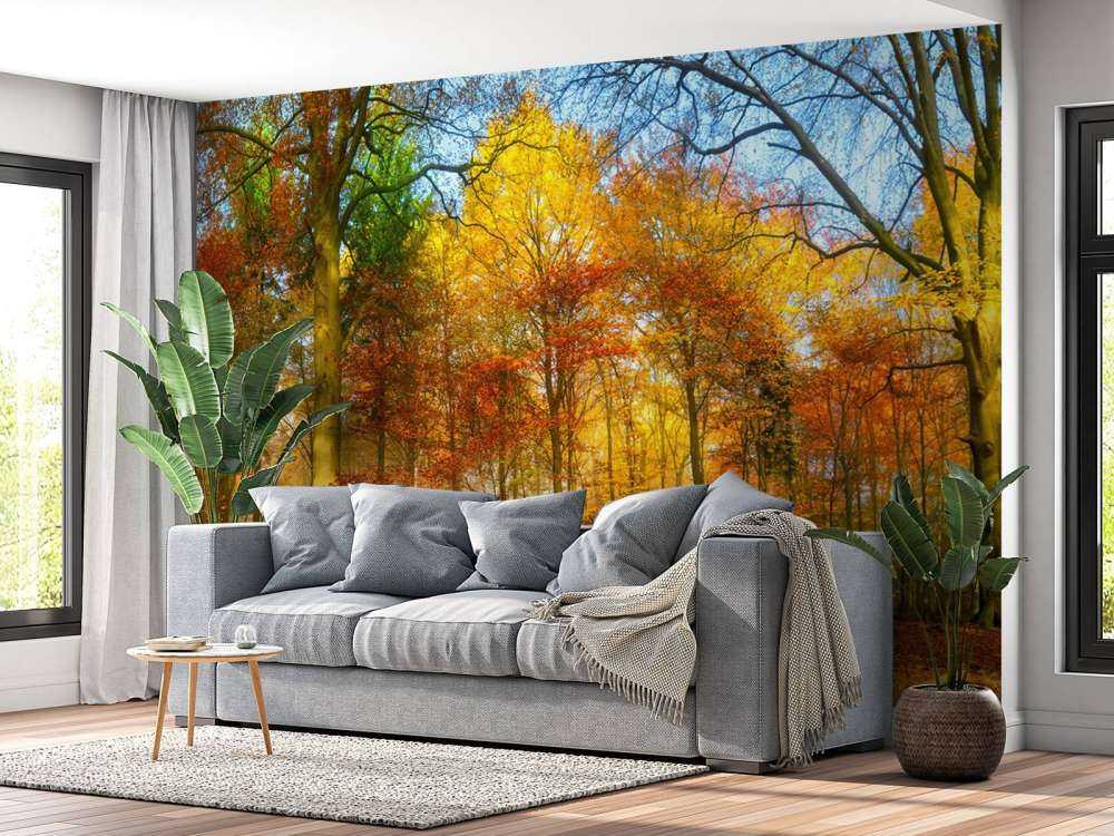 Colorful forest panorama