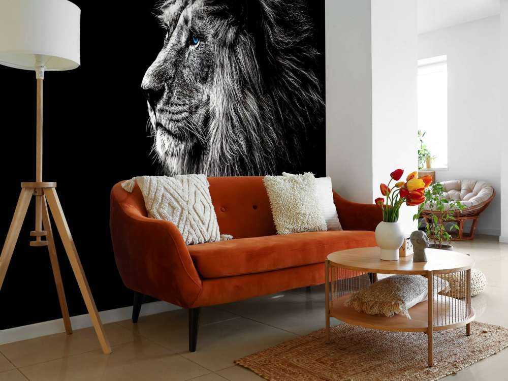 Lion with blue eyes