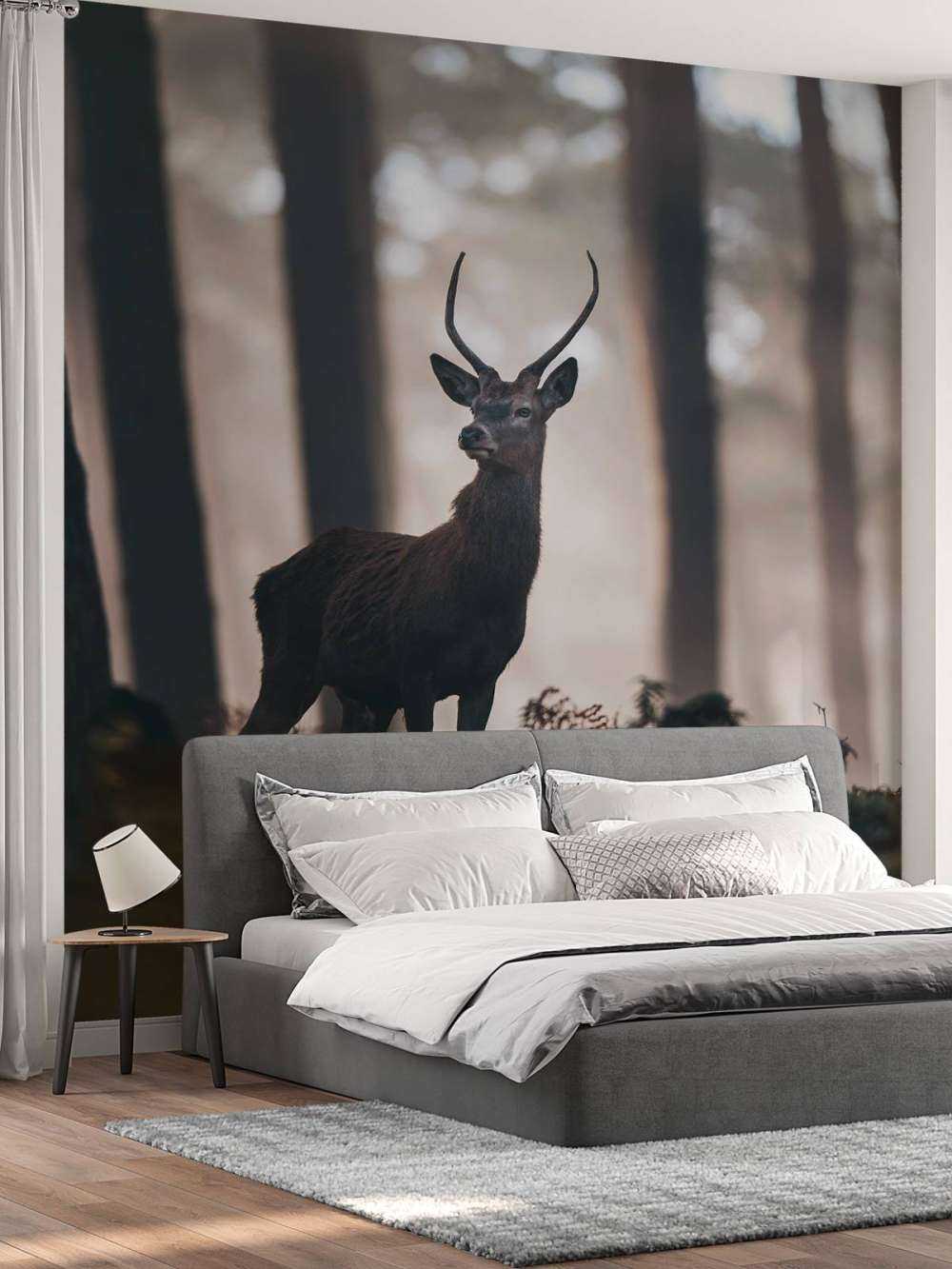 Stag near trees