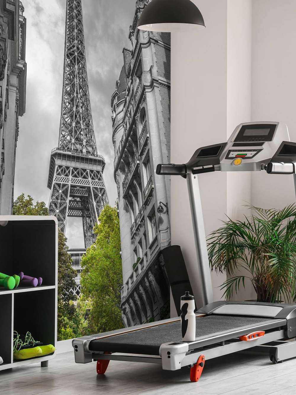 Eiffel Tower black and white