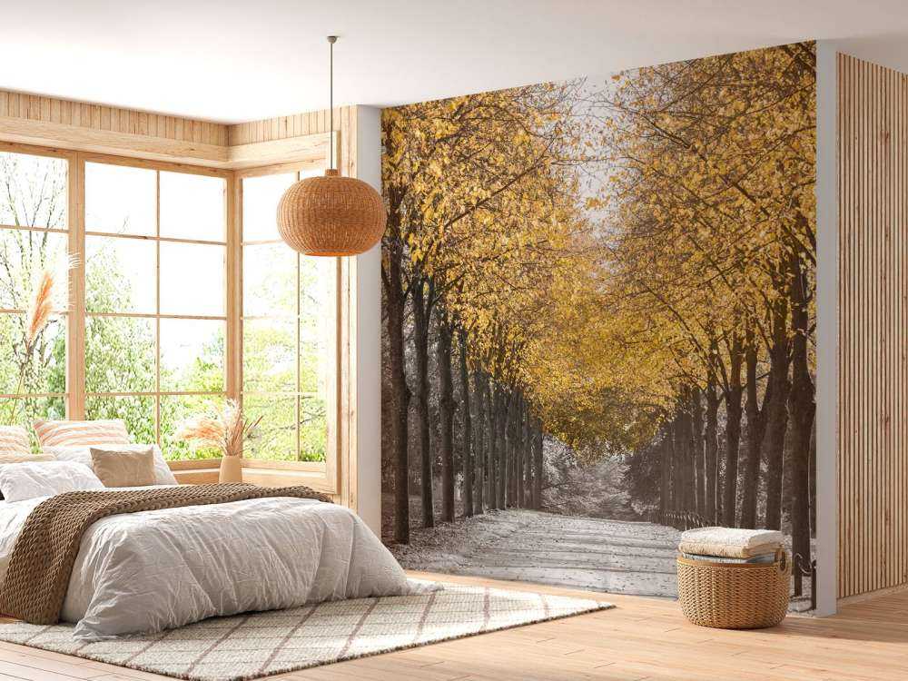 Path through the trees