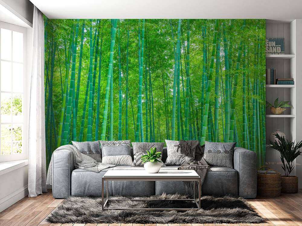 A green bamboo forest