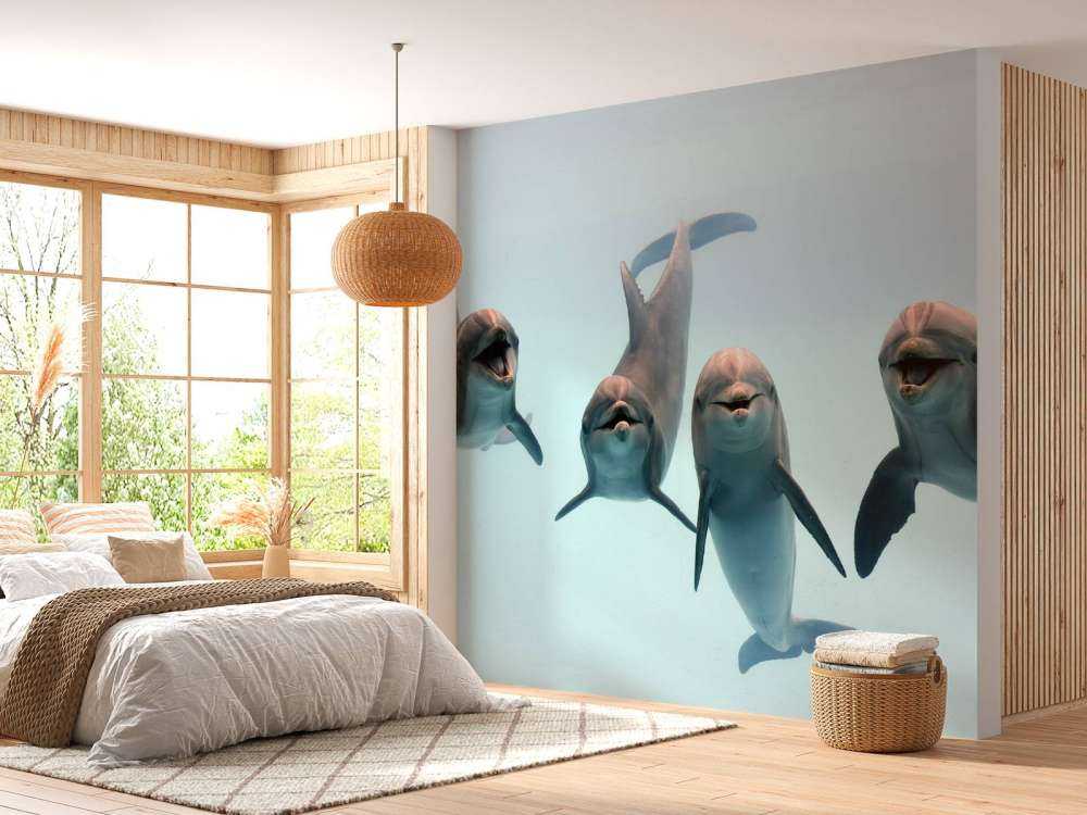 Laughing dolphins