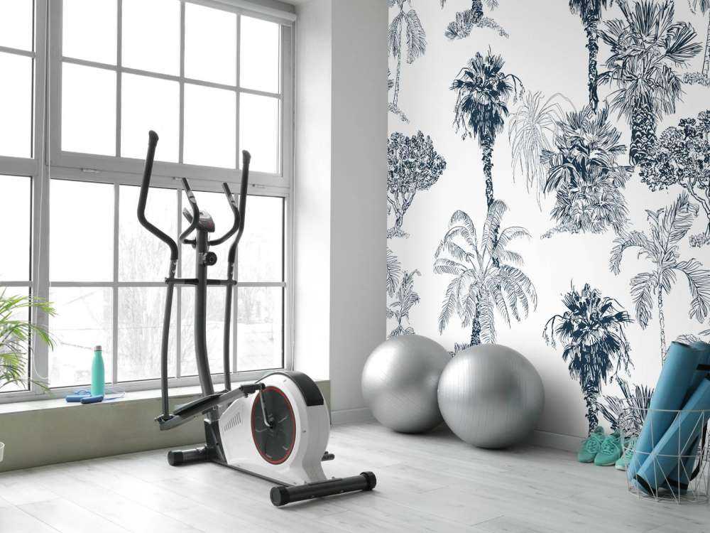 Tropical palms and trees