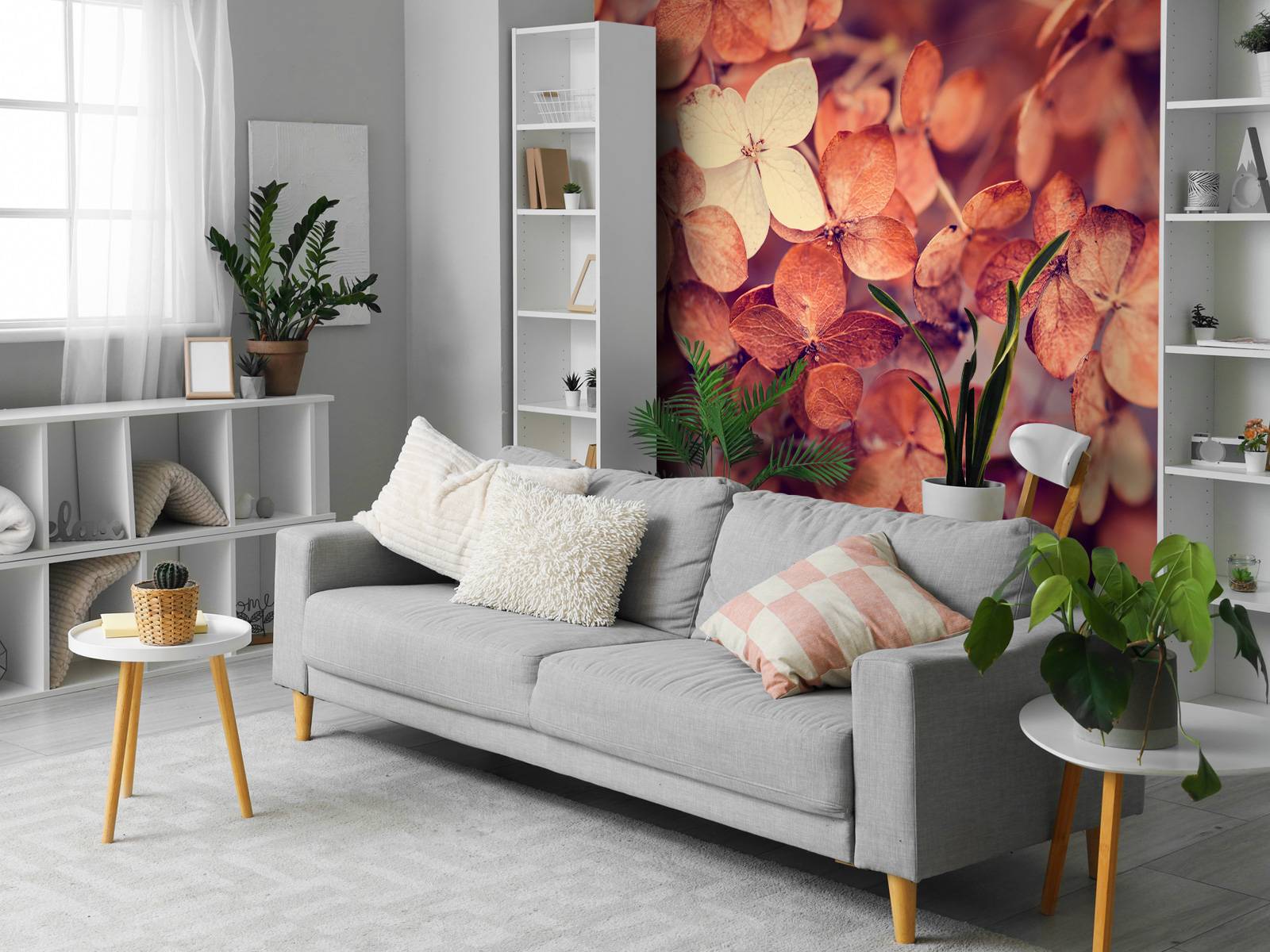 Dry hydrangeas