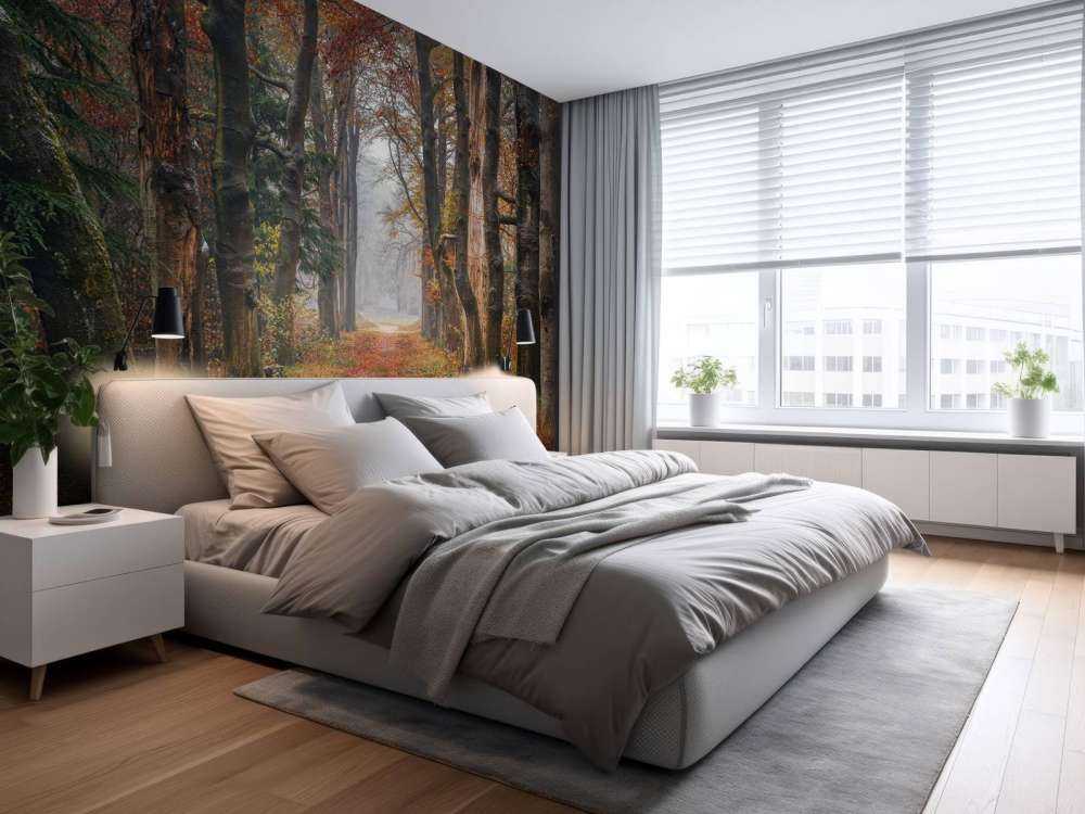 Forest path with old trees