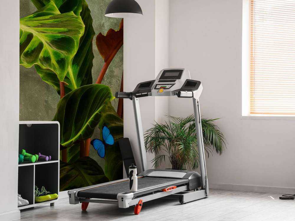 Green plant with butterflies