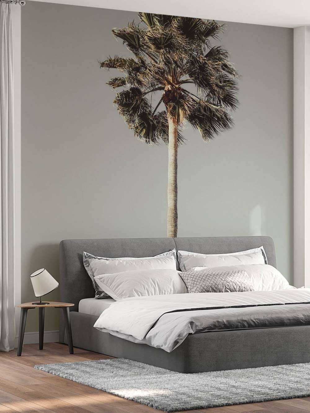 Windy Palm 