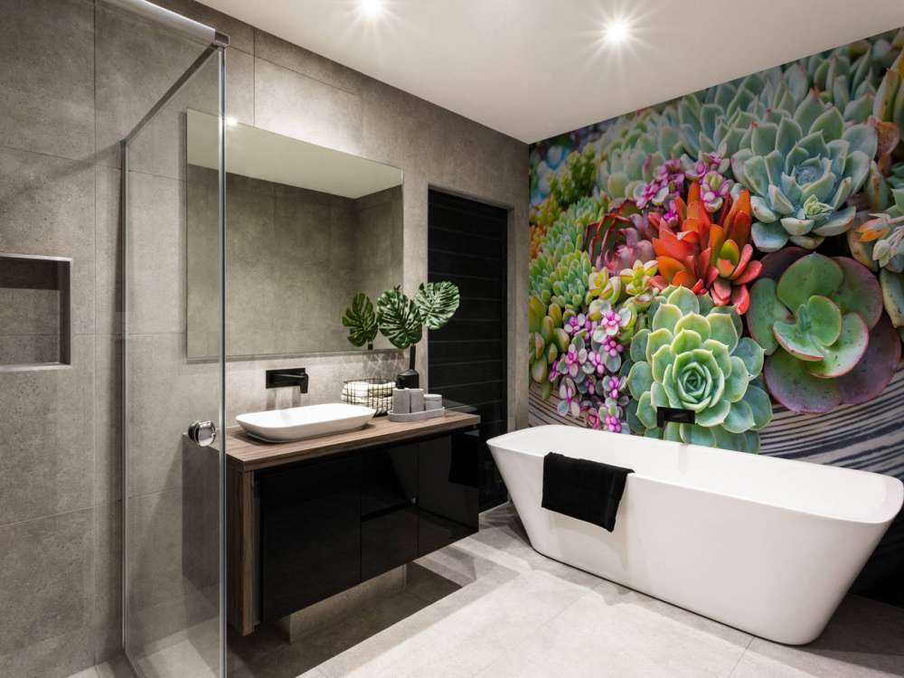 Verschillende vetplanten