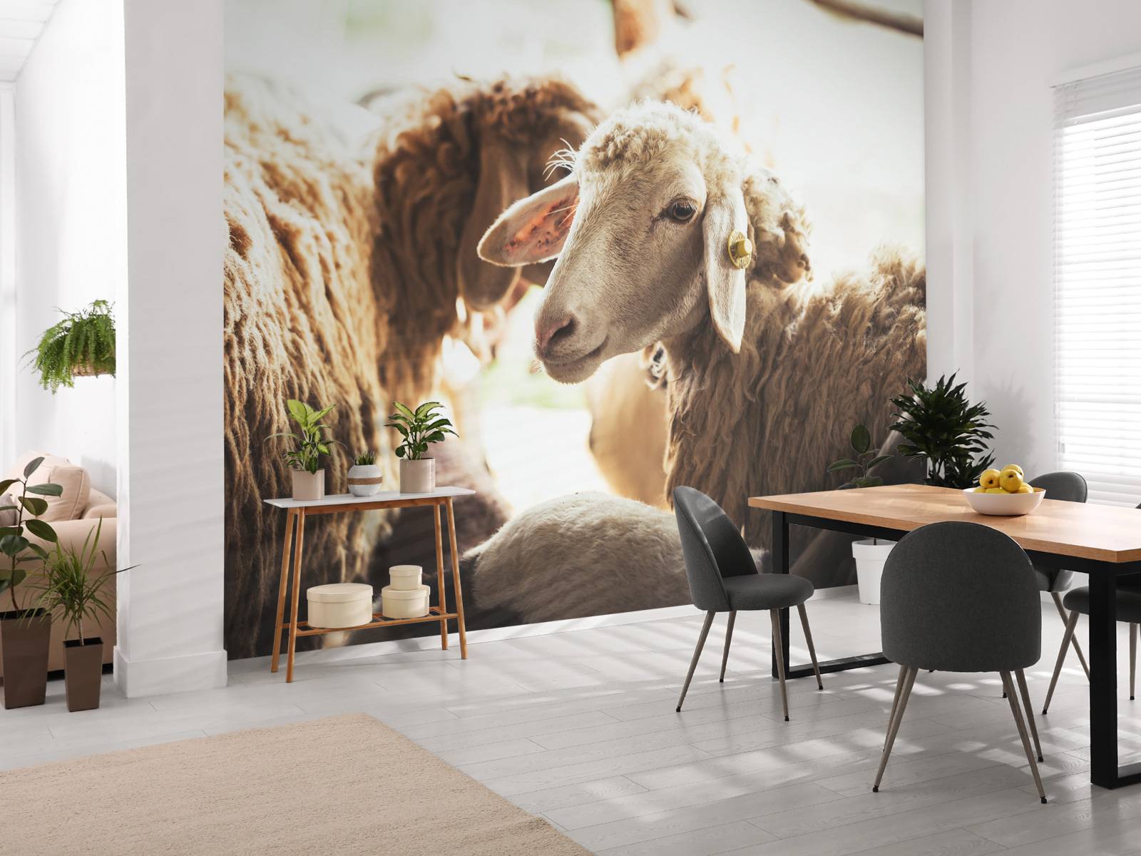 Sheep in stable