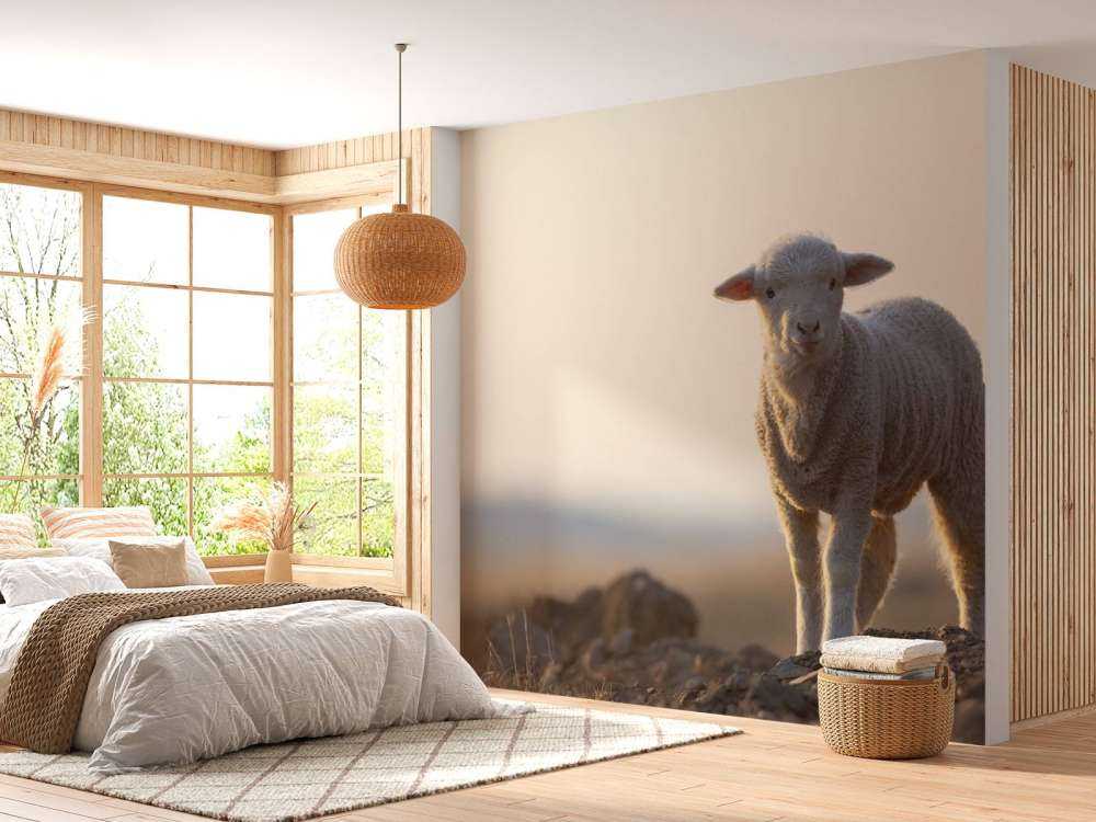 Lamb