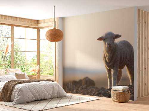 Lamb
