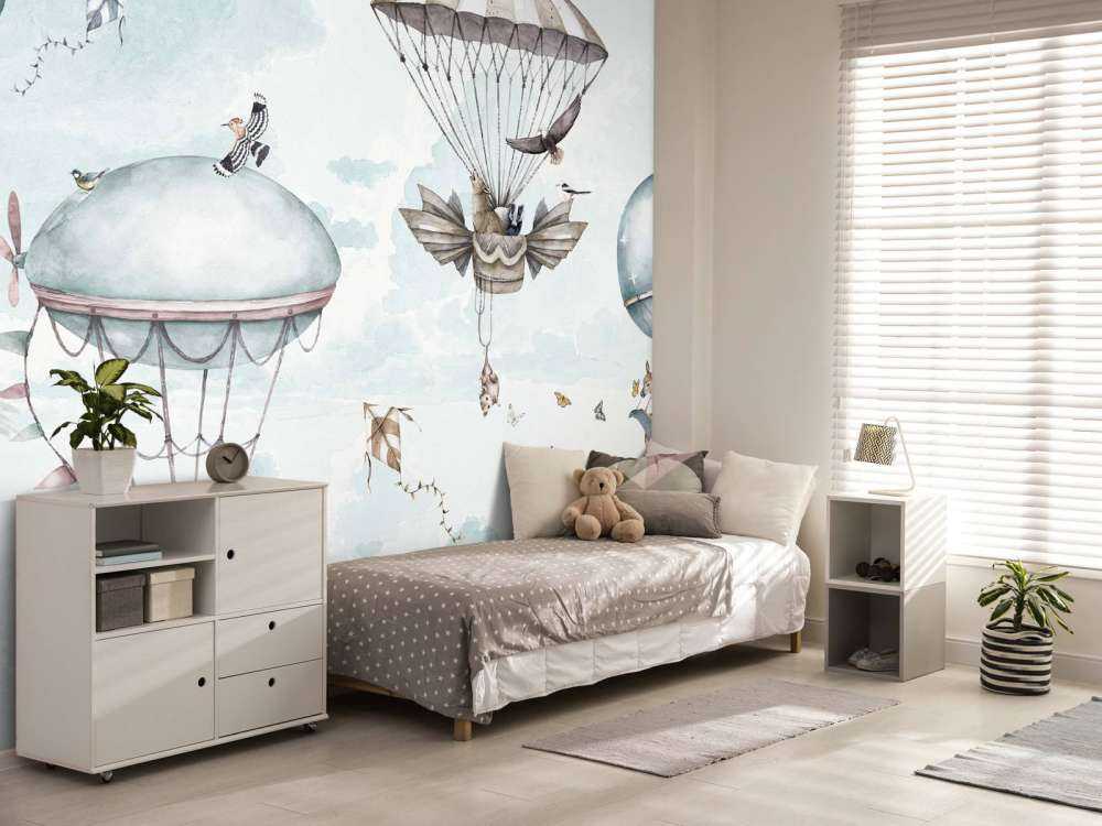 Hot Air Balloon Adventures