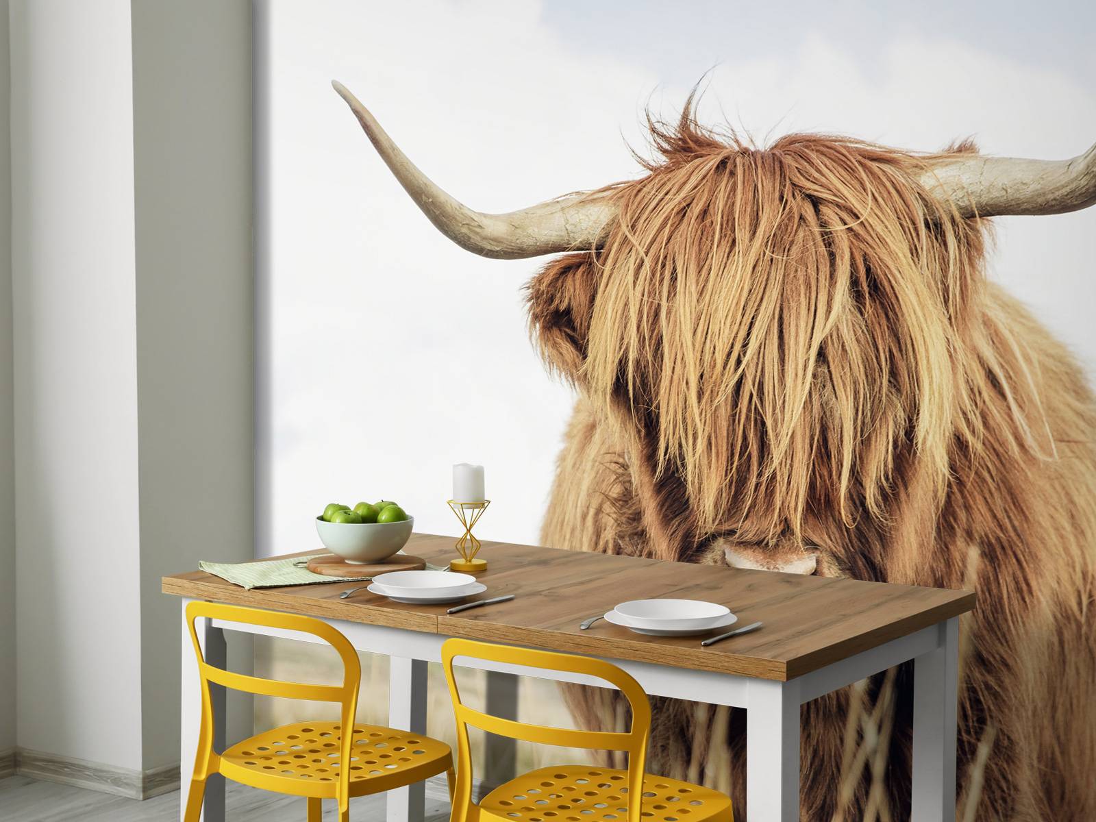 Close-up of a Scottish Highlander