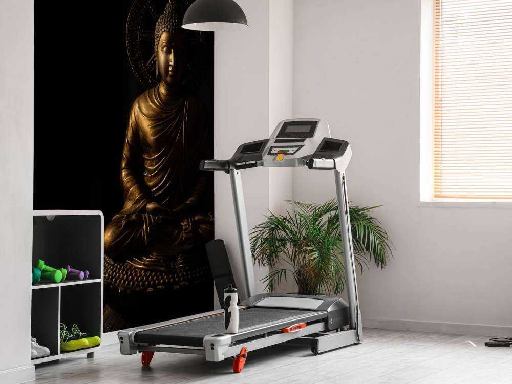 Isolated Buddha