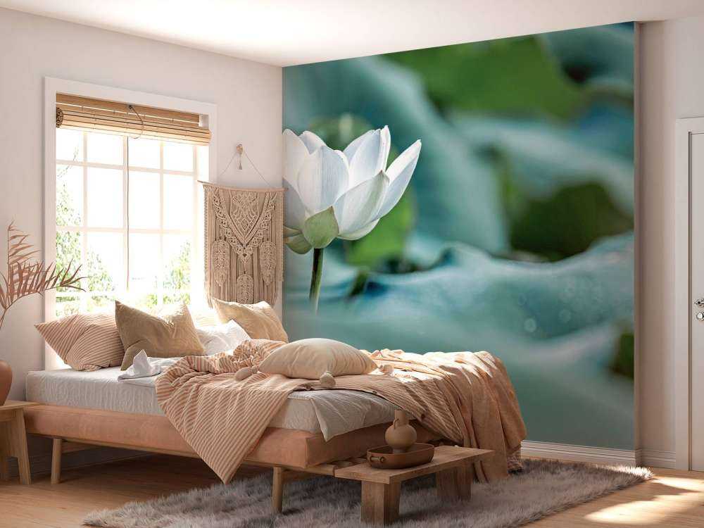 White lotus flower
