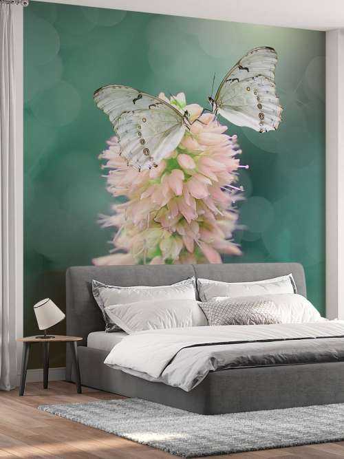 White butterflies