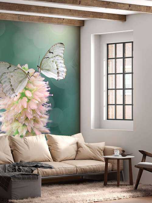 White butterflies