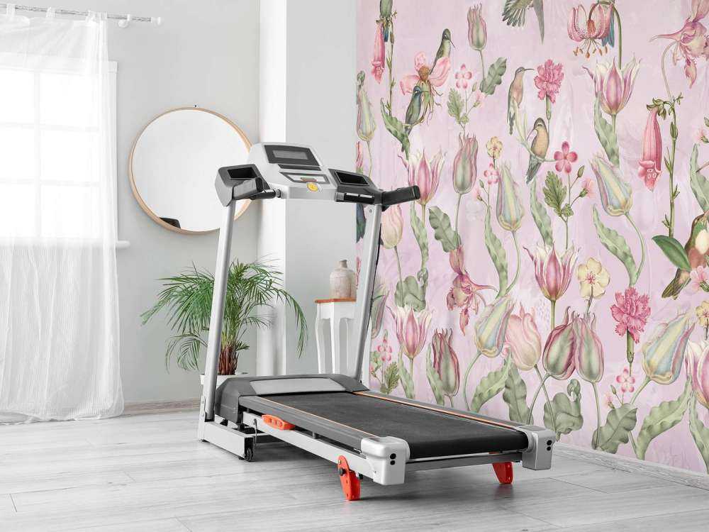 Spring Hummingbird Symphony - Blossom Rose