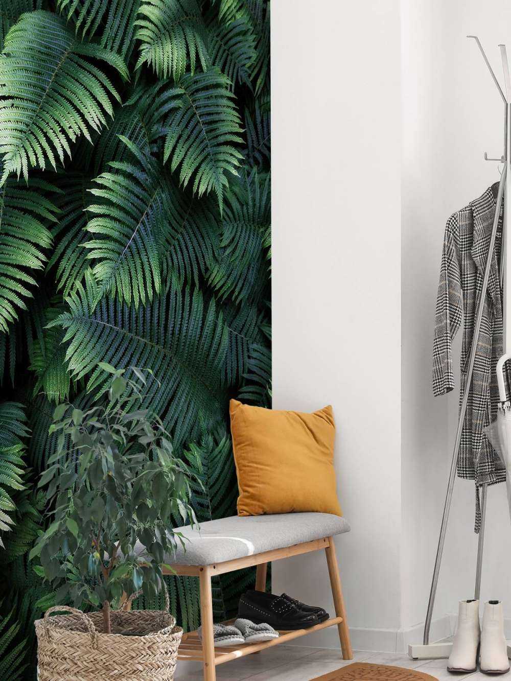 Large palm leaves
